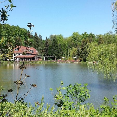 Waldhotel Zur Holzmuhle Eldagsen Zewnętrze zdjęcie