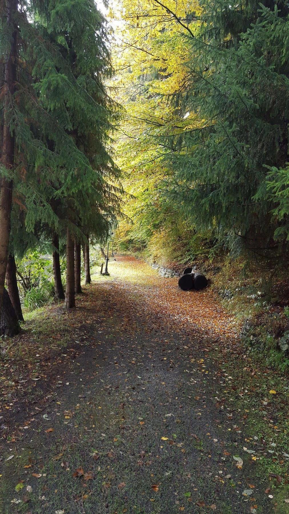 Waldhotel Zur Holzmuhle Eldagsen Zewnętrze zdjęcie
